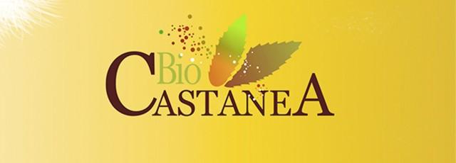 castanea.jpg
