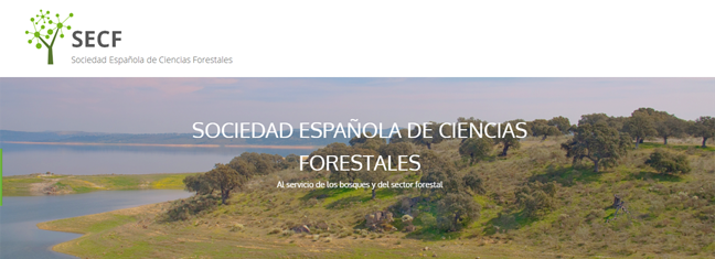 cesefor_secf_colaboracion.png
