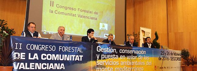 cose_2ocongresoforestalcav_segorbe_25y26feb2016_mesaredonda.jpg
