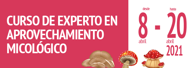 curso-experto-micologico_cesefor.png