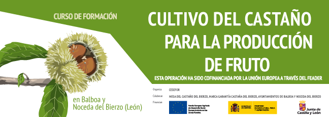 cursos_formacion.png