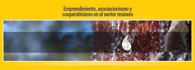 emprendimiento_resinero.jpg