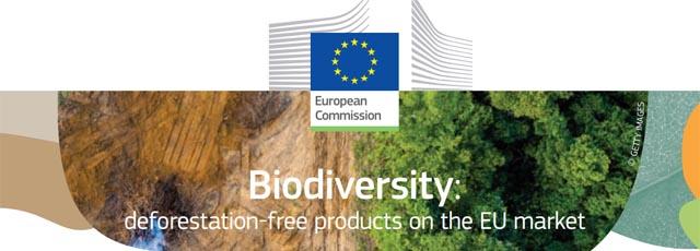 eu_deforestation.jpg