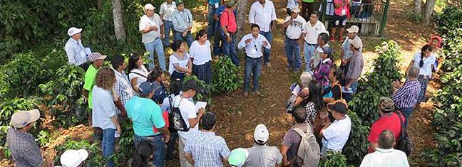 fao_comunidades.jpg