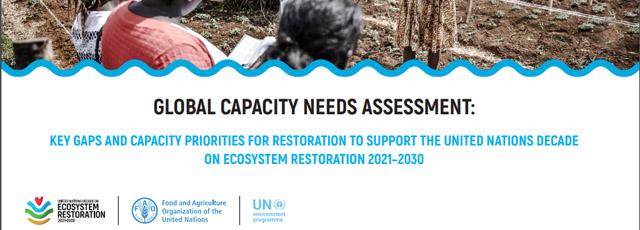 fao_restoration_survey.jpg