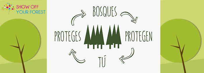 forest_foto.png
