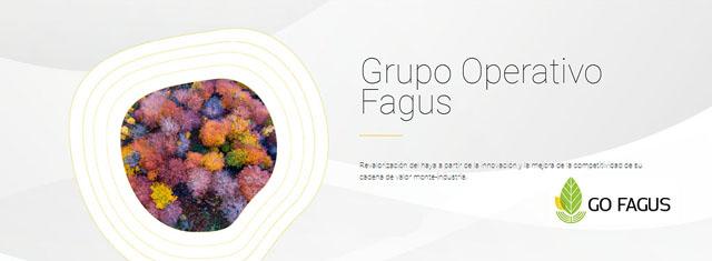 gofagus_indforma.jpg