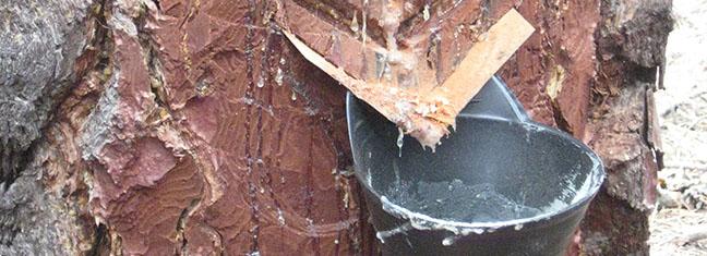 img_2245_copia.jpg