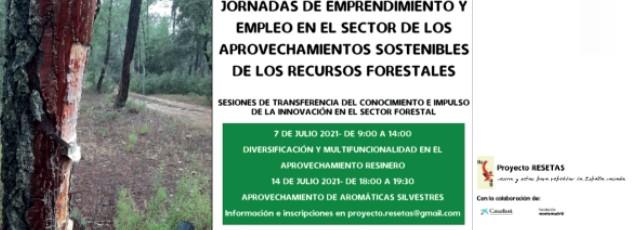 jornada.jpg