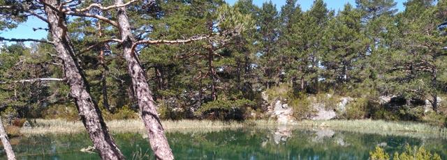 laguna_verde_vinuesa_indf.jpg