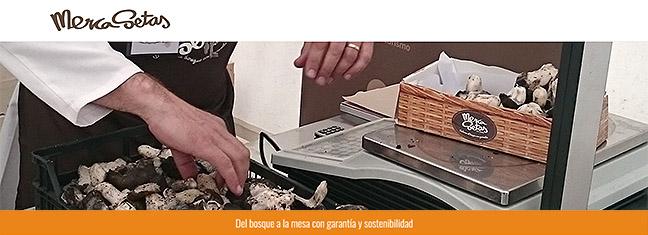 mercasetas_so.jpg