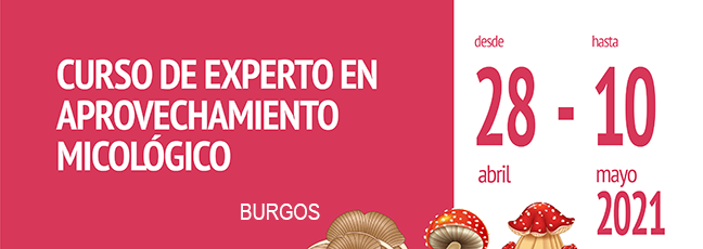 mico-burgos.png