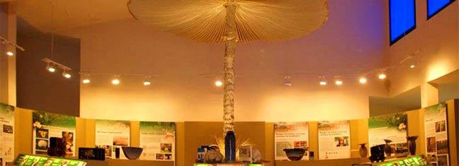 museo_mico_rabanales.jpg