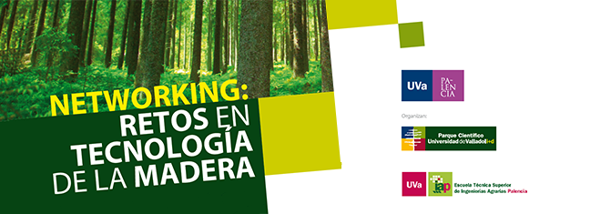 networking_palencia.png
