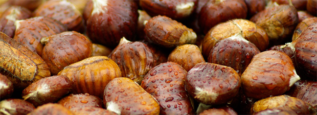 nuts.png