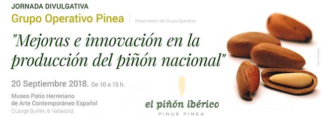 pinea.jpg