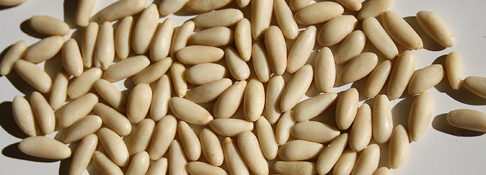 piniones.png