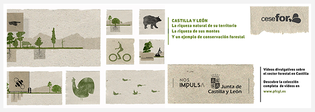 promo-videos-cesefor.png