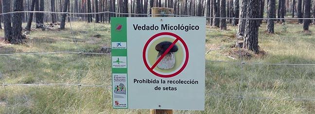reservamicologica2.jpg