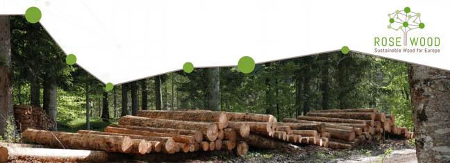 rosewood.jpg