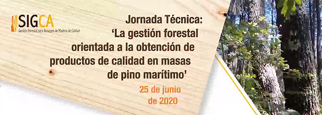 sigca3.png